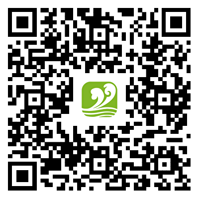 关于福洋