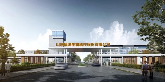 关于福洋