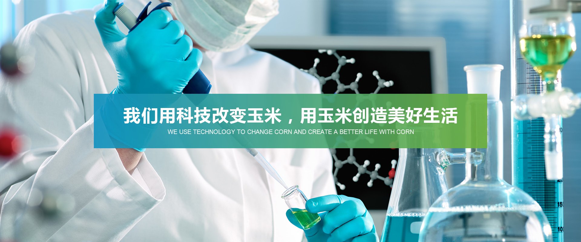 资质荣誉